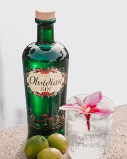 imagenes-obsidianjpg